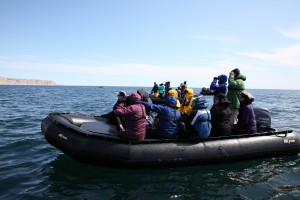 IMG 0084C
