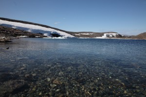 IMG 4585C
