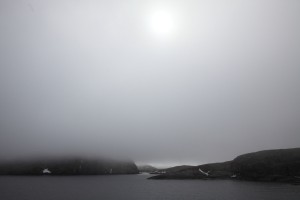 IMG 5890C